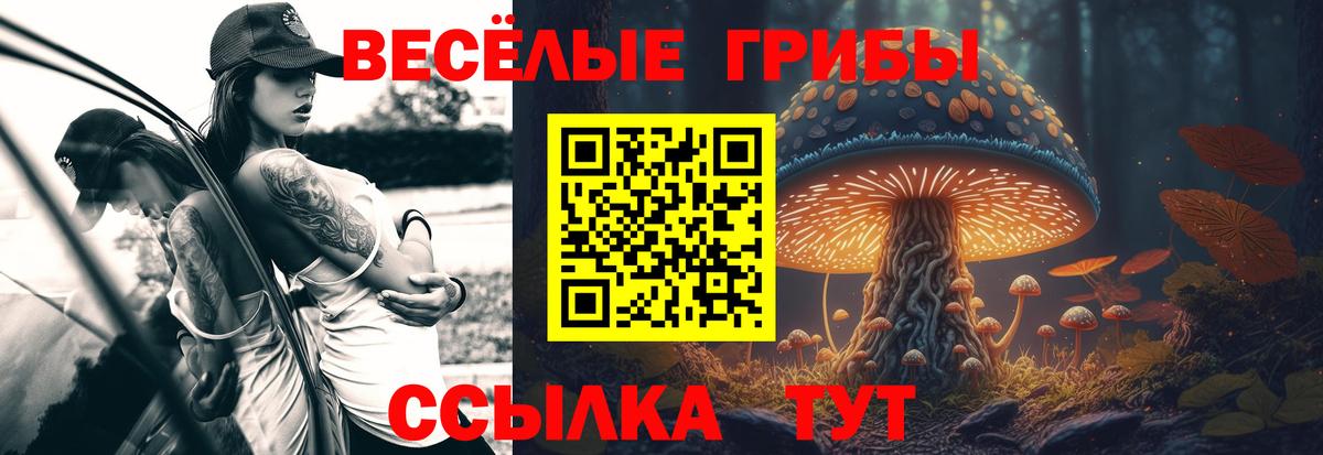 Галлюциногенные грибы Cubensis Владивосток