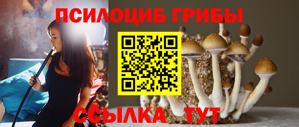 Владивосток  Псилоцибиновые грибы прущие грибы  Вход с VPN  Галлюциногенные грибы мицелий 